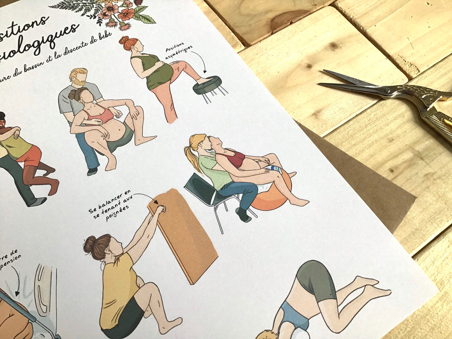 Physiological Positions (color version)
