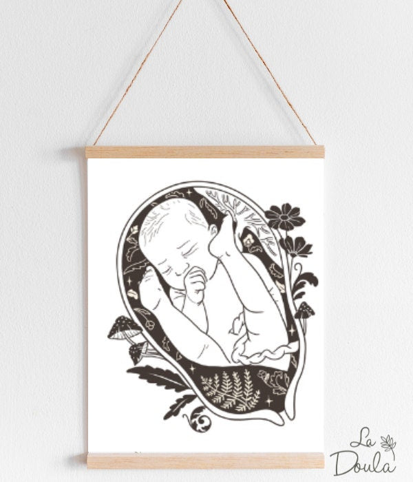 Display FERN BABY