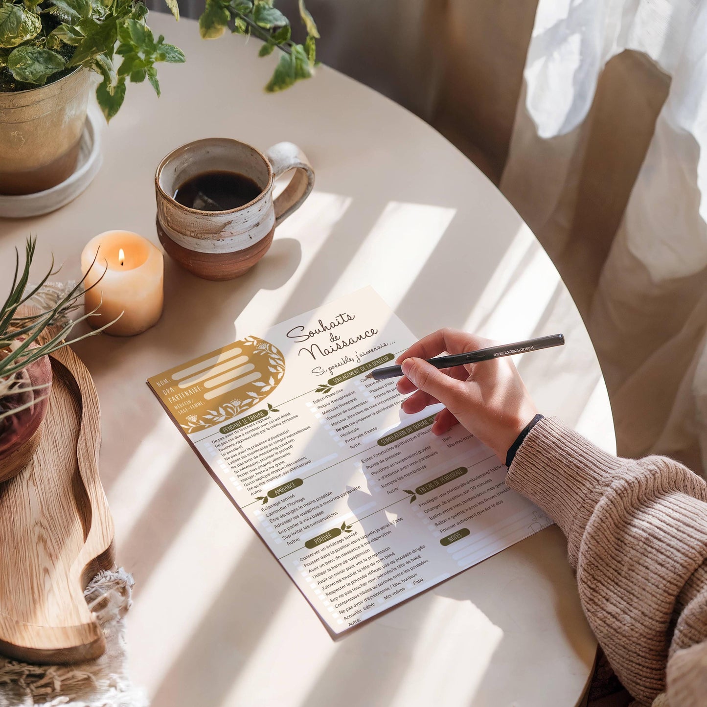 Birth Plan Checklist (2nd version)