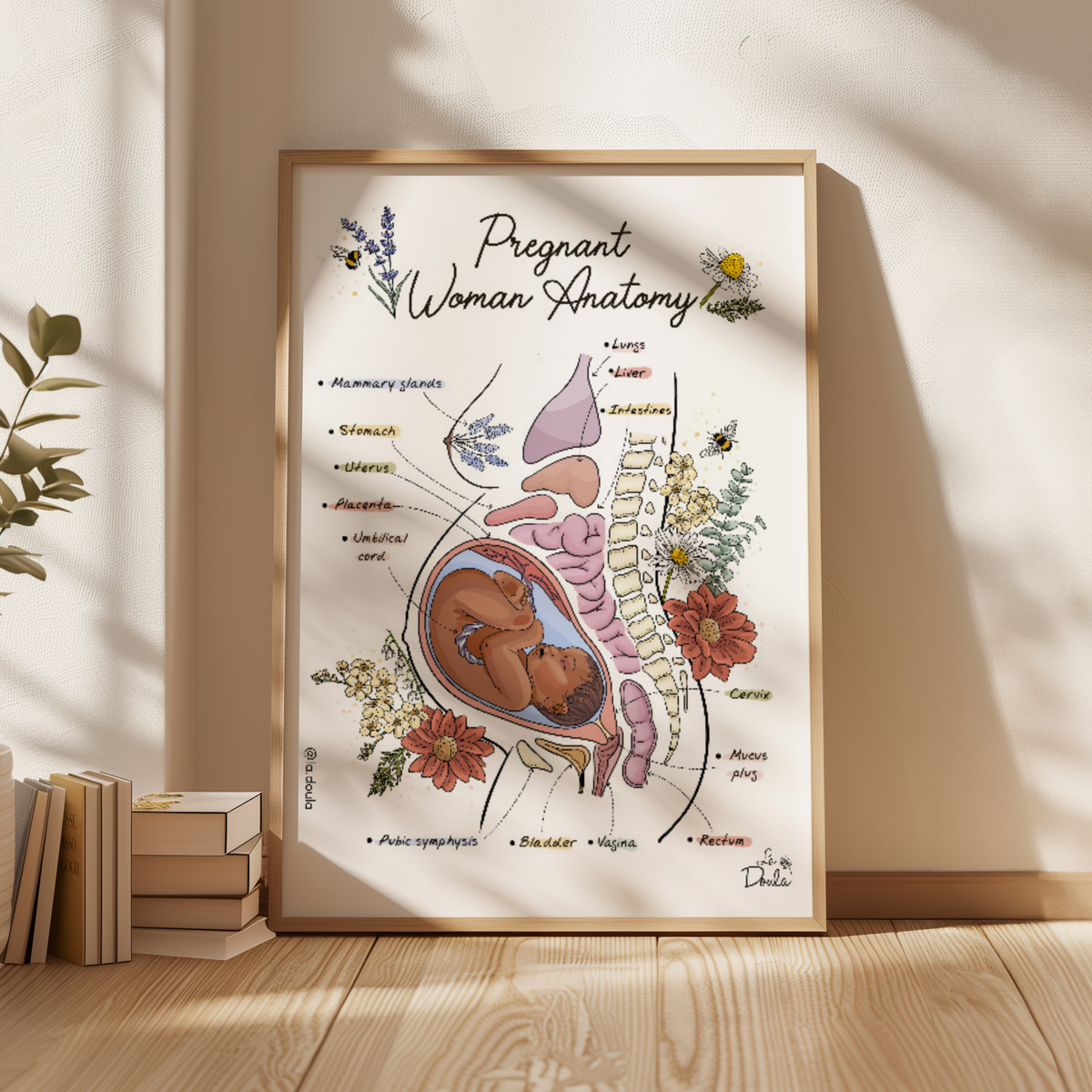 Posters
