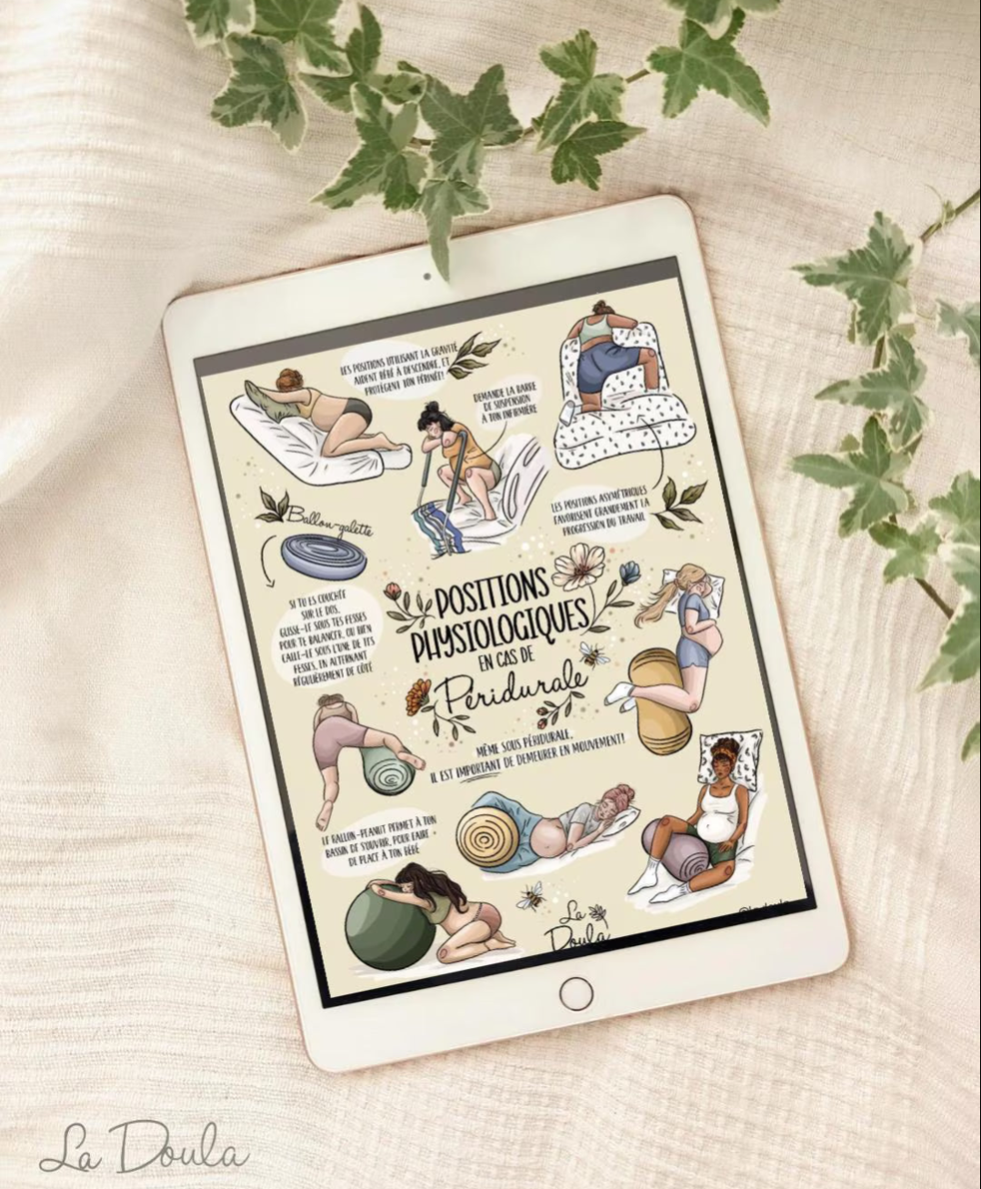 Illustrations de Préparation à la Naissance (Version Couleur)