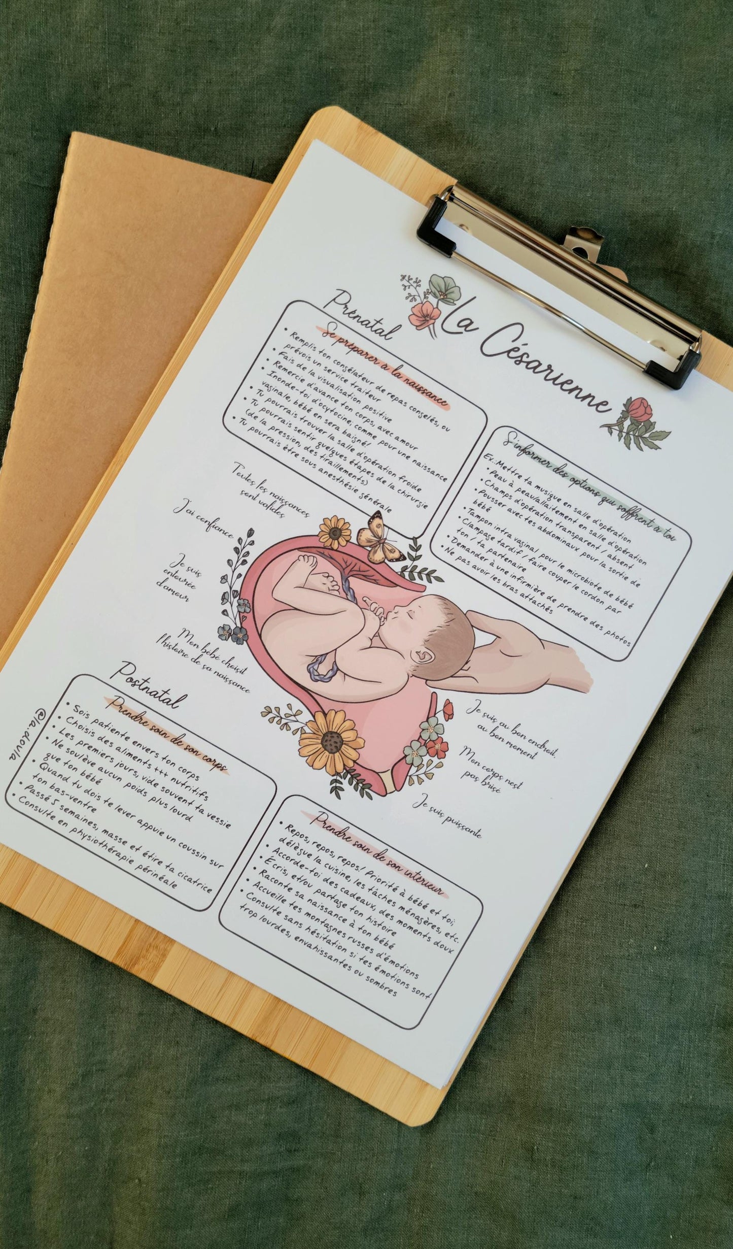 The Cesarean Section Aide-Memoire (color version)