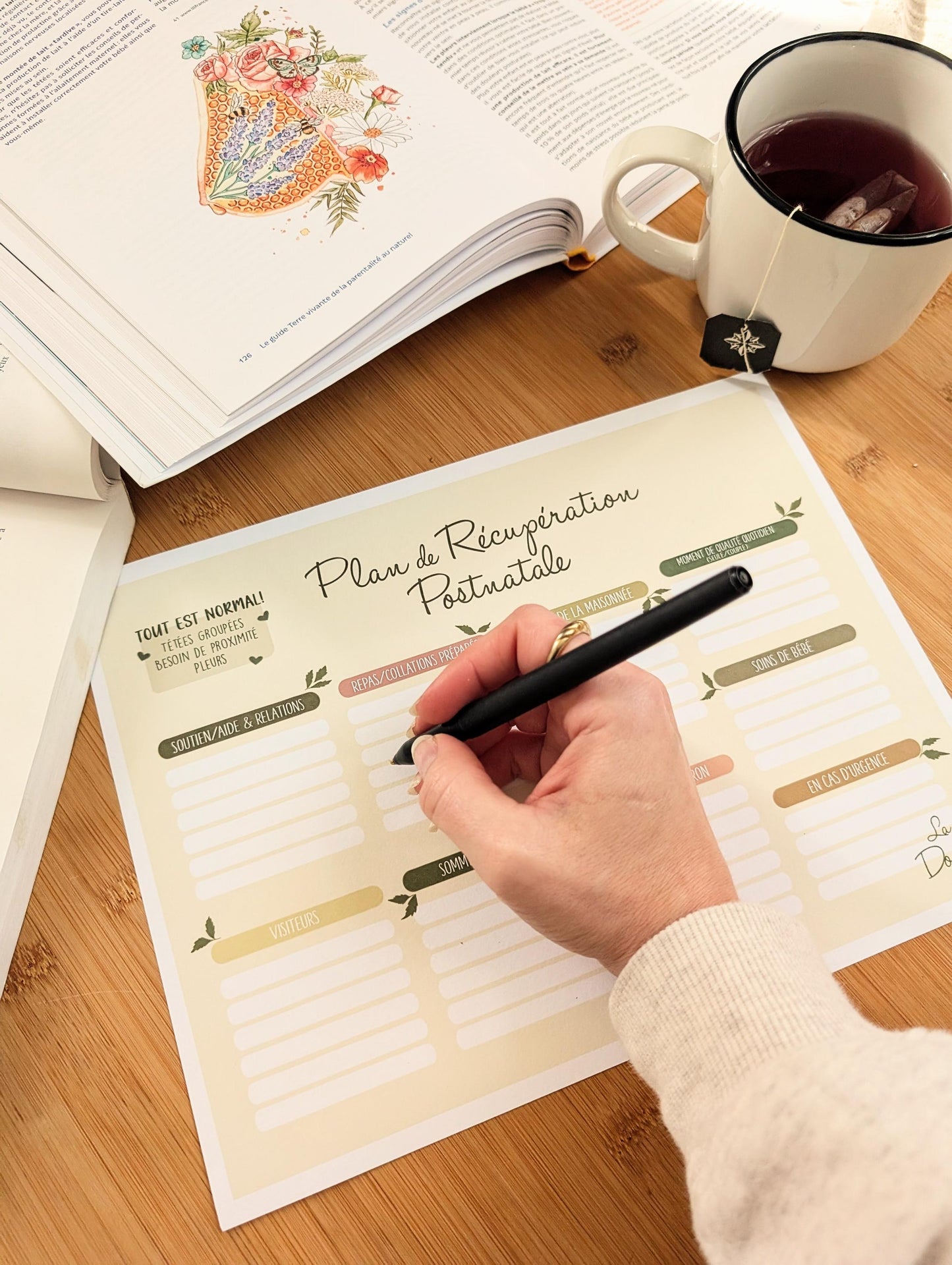 Postnatal Plan