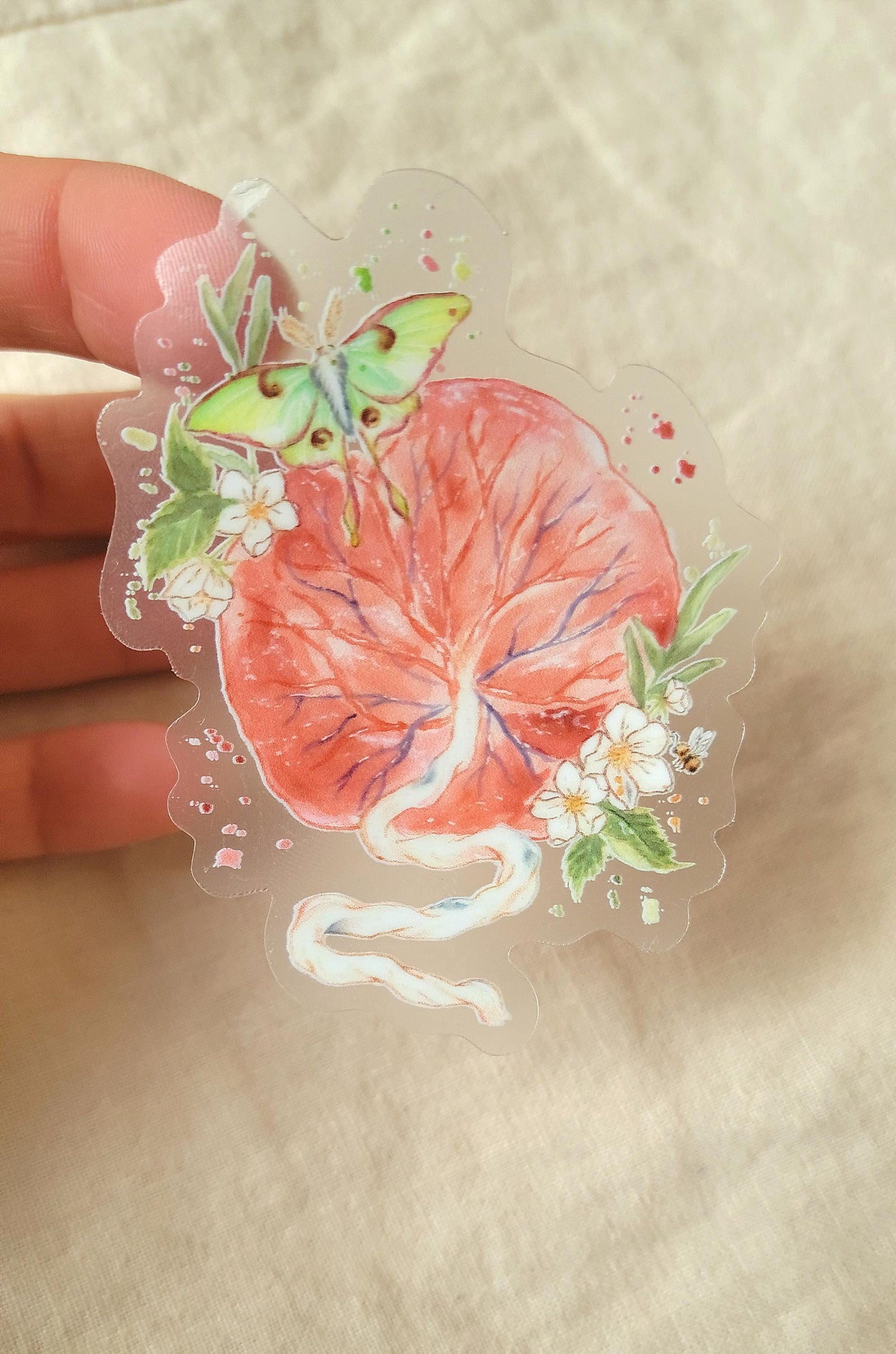 "L'ÉPHÉMÈRE" Waterproof Vinyl Sticker