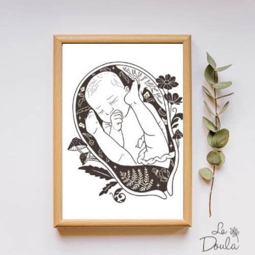 Display FERN BABY