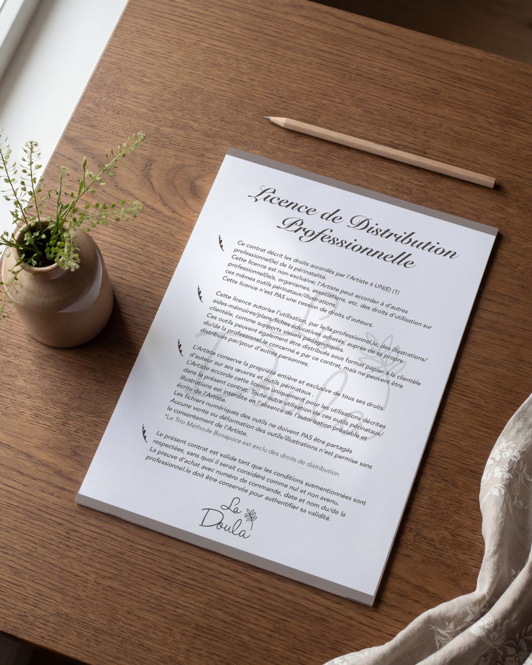 LICENCE de DISTRIBUTION PROFESSIONNELLE