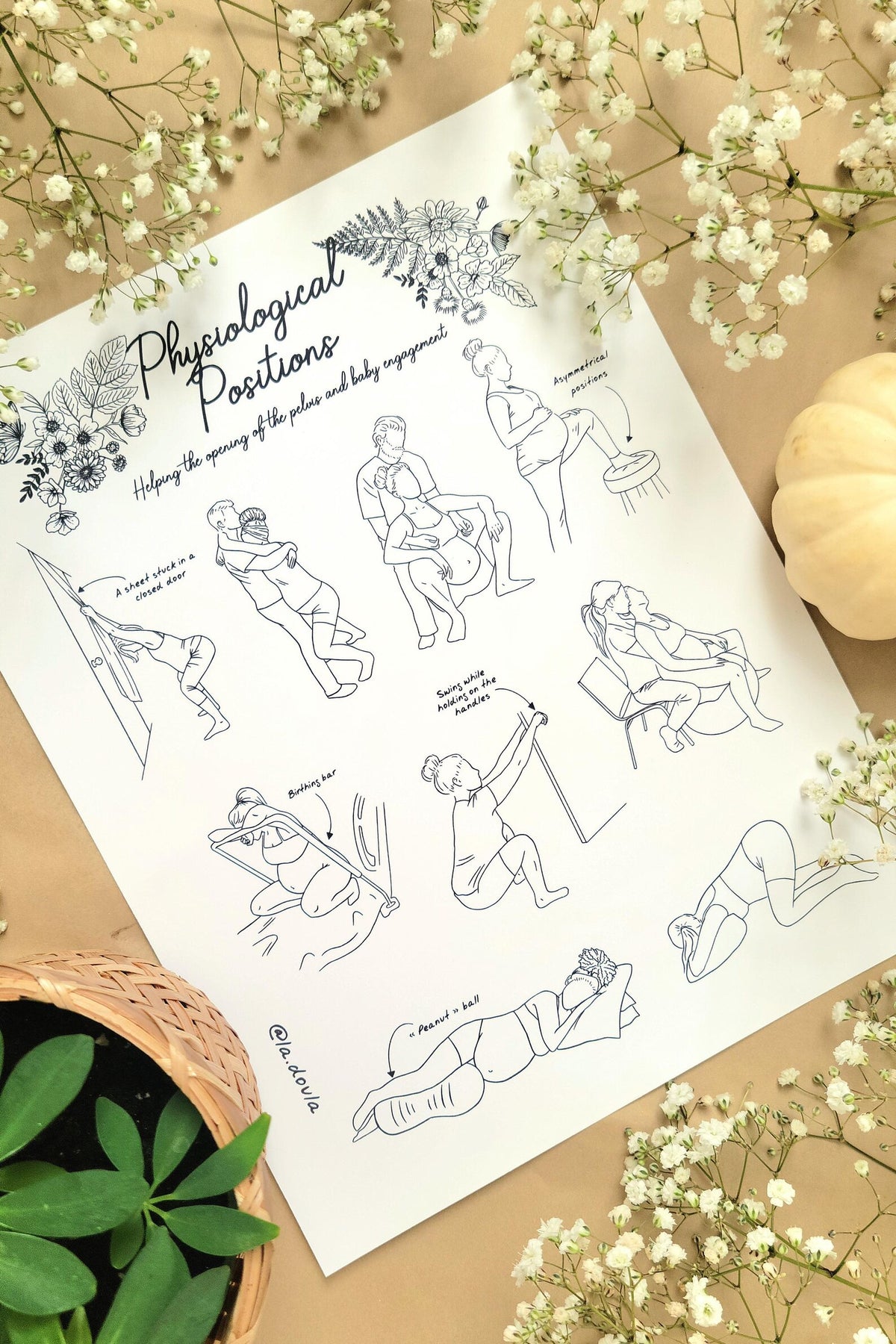 Physiological Positions