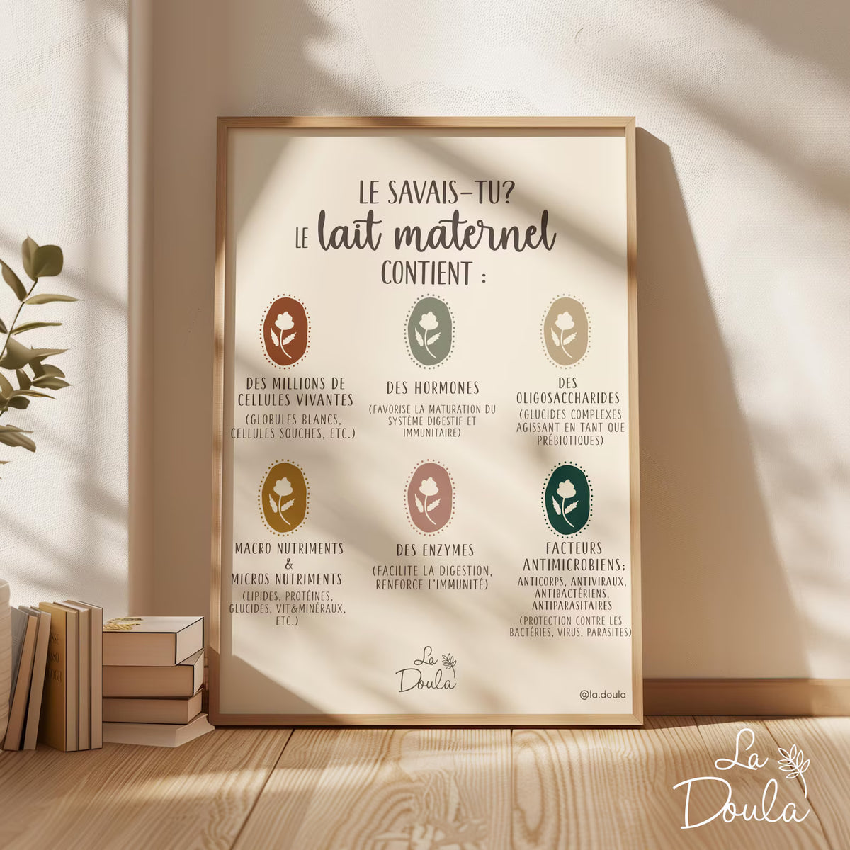 Affiche LAIT MATERNEL COMPOSITION