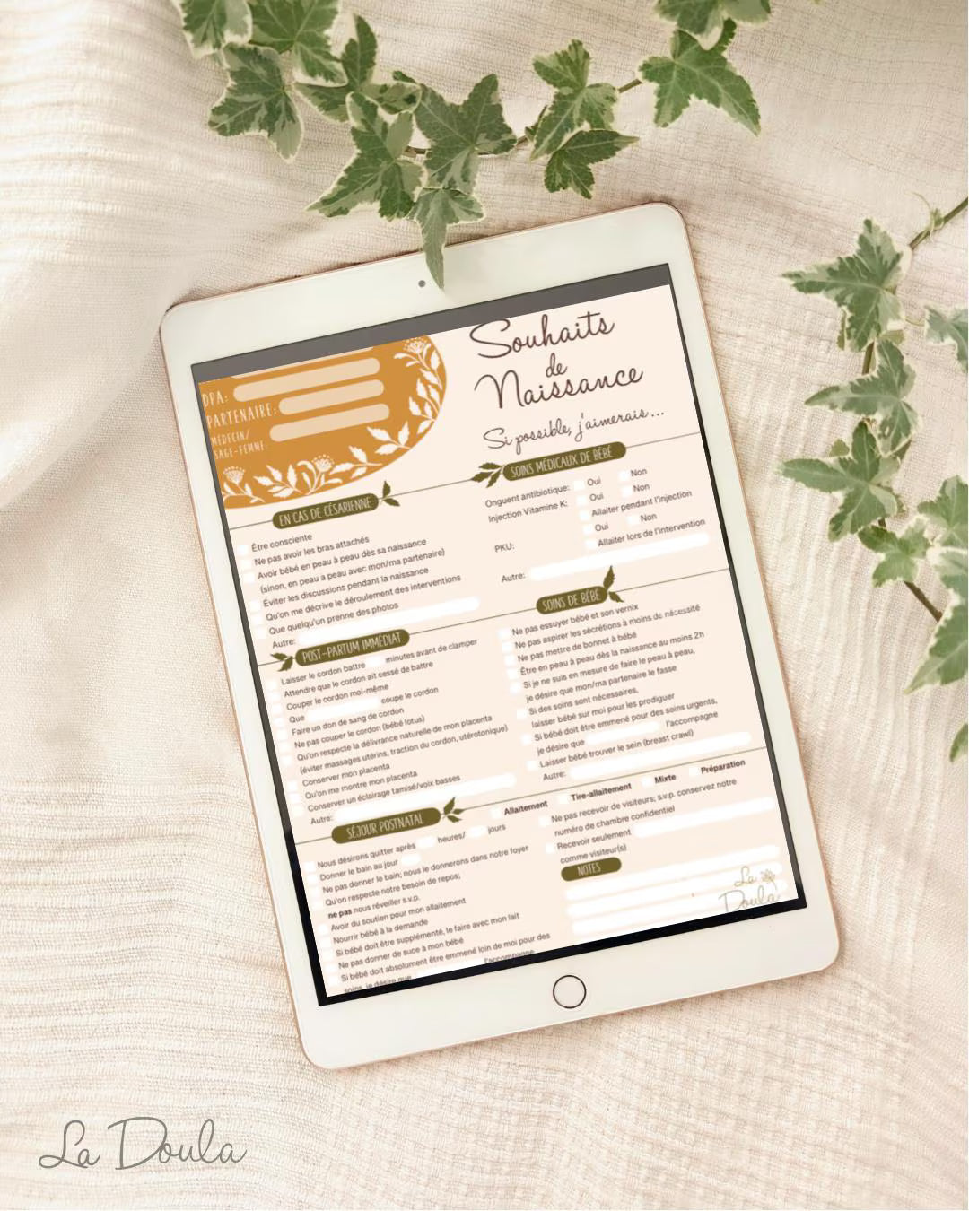 Birth Plan Checklist (2nd version)