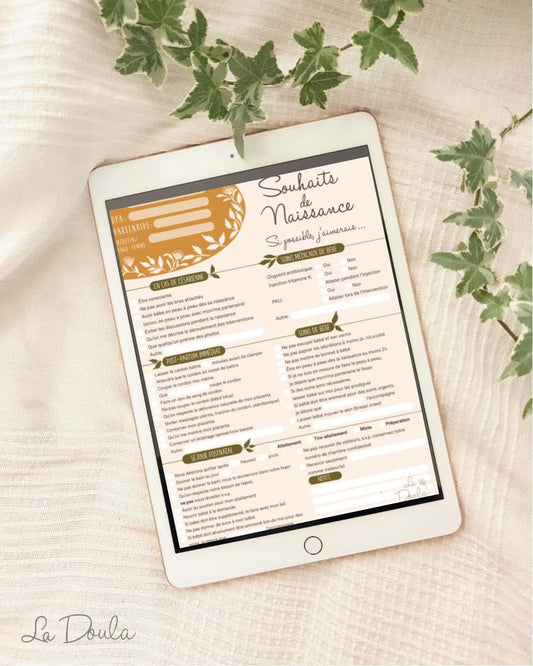 Plan de Naissance checklist (2e version)
