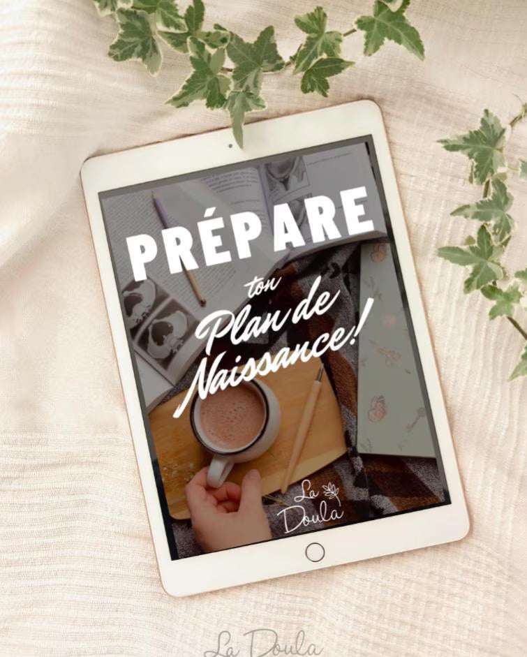 Ebook Prepare Your Birth Plan