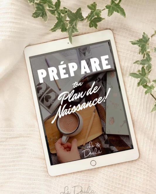 Ebook Prepare Your Birth Plan