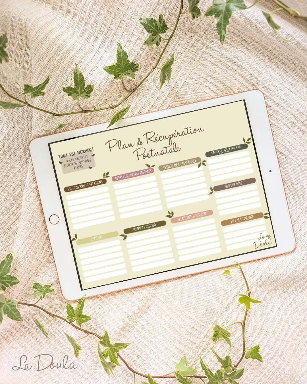 Postnatal Plan