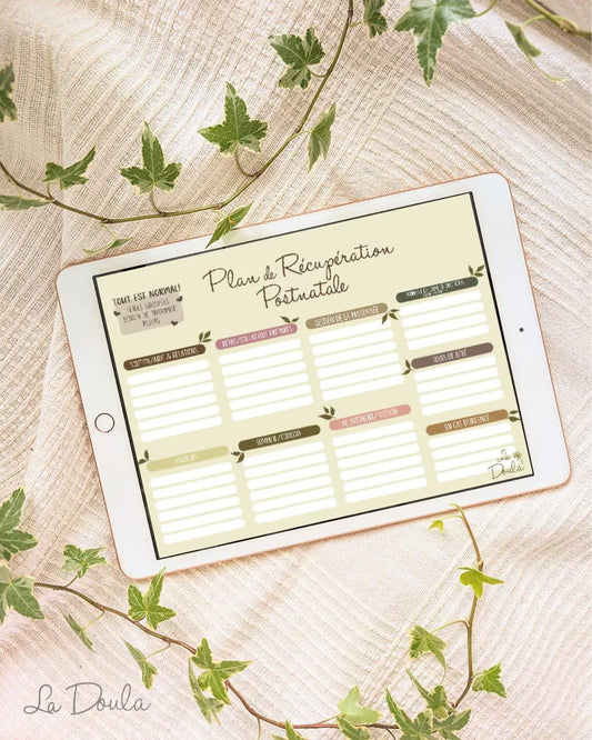 Postnatal Plan