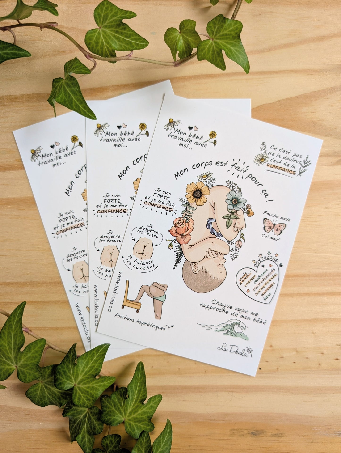 Les Minies-Fiches Informatives
